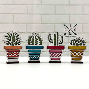 Mini Cactus